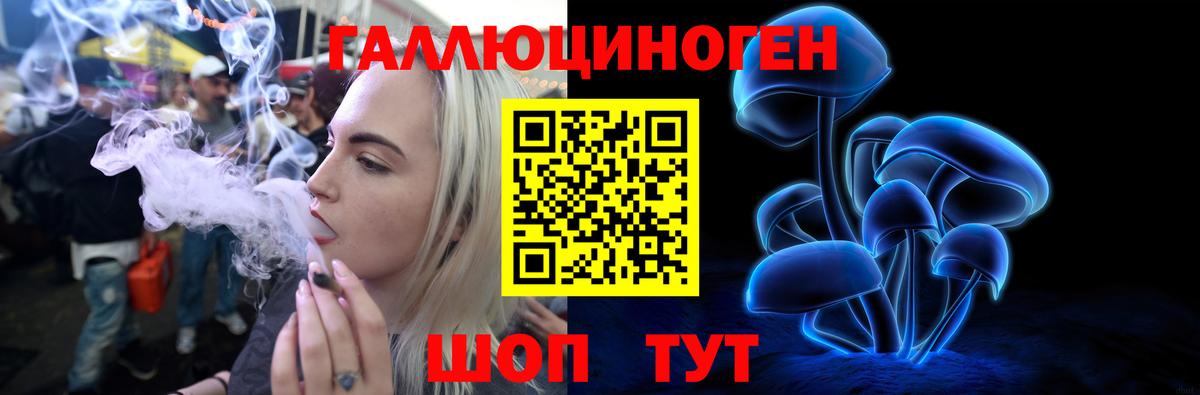 Галлюциногенные грибы GOLDEN TEACHER Ахтубинск
